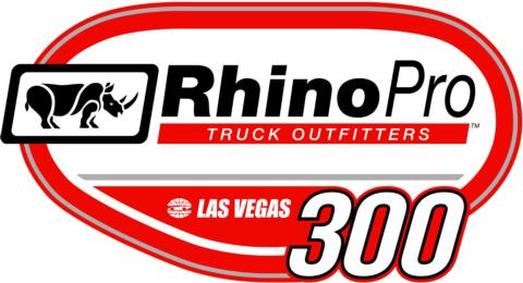 Rhino Pro 300