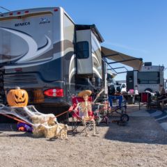 Gallery: The Camping Experience