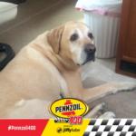 2018 Pennzoil 400 Weekend