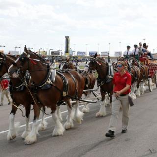 Gallery: South Point 400 - Sept. 15, 2019