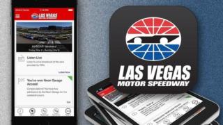 Download the LVMS App