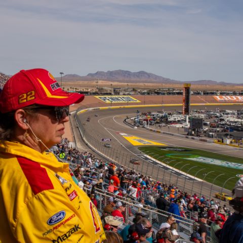 Spectator