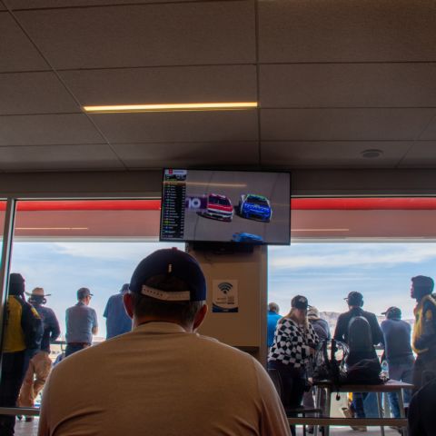 Spectator